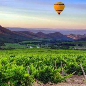 Winelands Tour