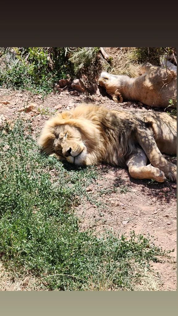 IMG_20231213_225551_839