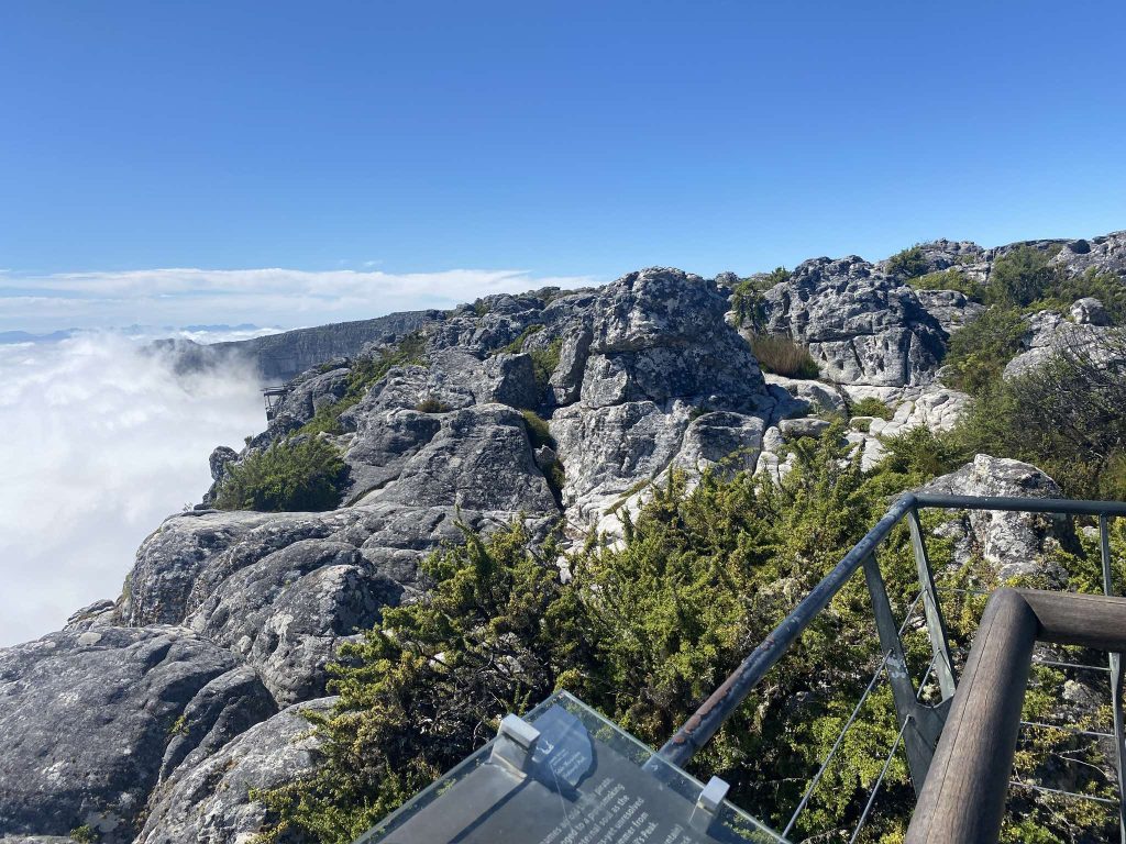 received_1712414509487623