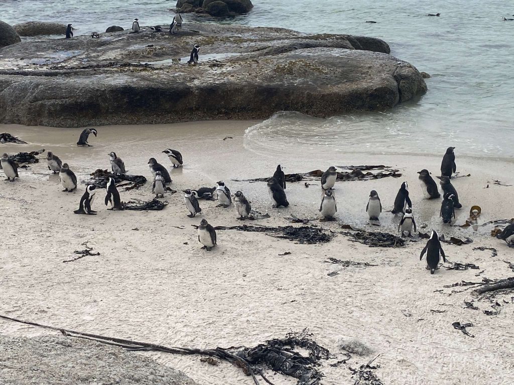 received_572498025826533